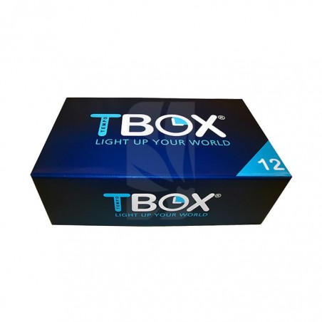 Temporizador TEMPOBOX 12 x 600 W