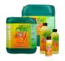 Top Booster da 5 Litri H&G