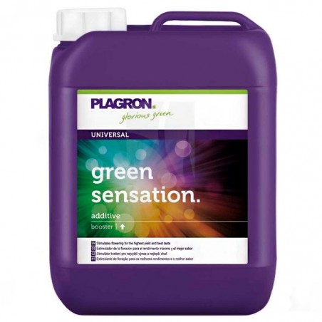 GREEN SENSATION 10 Liters PLAGRON - Fertilizers