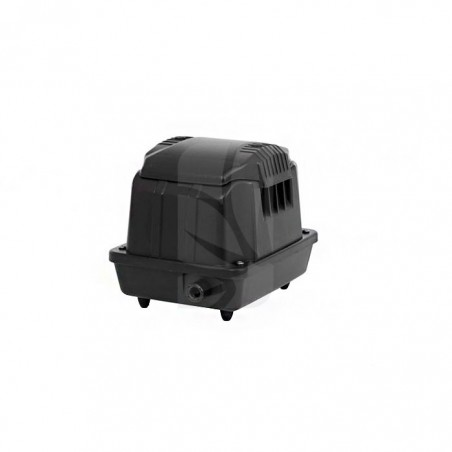 BOMBA DE AIRE AK-40 (2400 L/H)