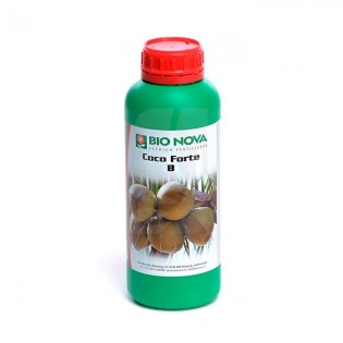 Coco Forte B