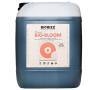 Bio Bloom 10 Liters BIOBIZZ