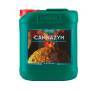 Cannazym 5 Litros CANNA Cannazym 5 Litros CANNA