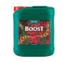 Canna Boost 5 Liters CANNA Canna Boost 5 Liters CANNA