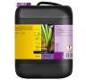 One Component Soil 10 Liters B'CUZZ