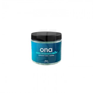 ONA GEL 400 G (POLAR CRISTAL)