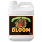 Bloom Ph Perfect 10 Litros Advanced Nutrients