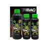 TRIBAC BAC TRIBAC BAC