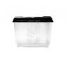 Acuario - Pecera 2.5 Litros Acuario - Pecera 2.5 Litros