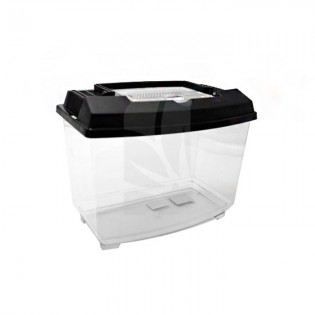 Buy Aquarium - Fish Tank 2.5 Liters ✅ AQUARIUM ACCESSORIES