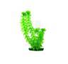 Plante d’Aquarium Moyenne 20 cm