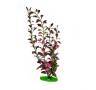 Planta Acuario Grande 30 cm. Planta Acuario Grande 30 cm.