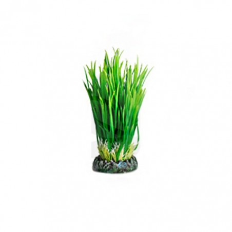 Sri Lanka Aquarium Plant S ⭐ ACCESSORIES AQUARIUM DECORATION