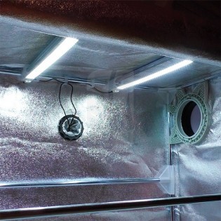 LED PARA CULTIVO COSMORROW LED 40W 24V ✨ Grow shop online