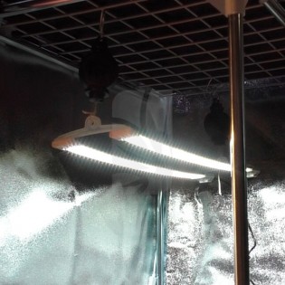LED PARA CULTIVO COSMORROW LED 40W 24V ✨ Grow shop online
