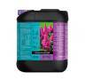 Blossom Builder 5 Liters B’Cuzz Blossom Builder 5 Liters B’Cuzz