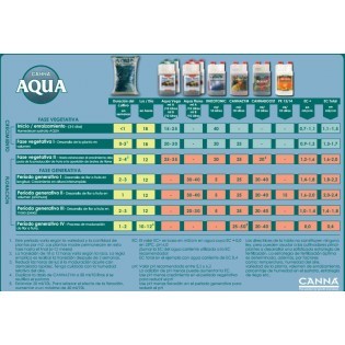 BOOST Accelerator CANNA 1 L