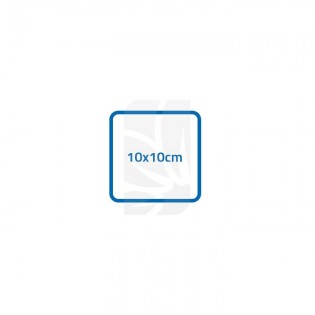 Buy small Amsterdam wooden box