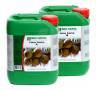 Coco Forte A+B de 5 Litros BIONOVA Coco Forte A+B de 5 Litros BIONOVA