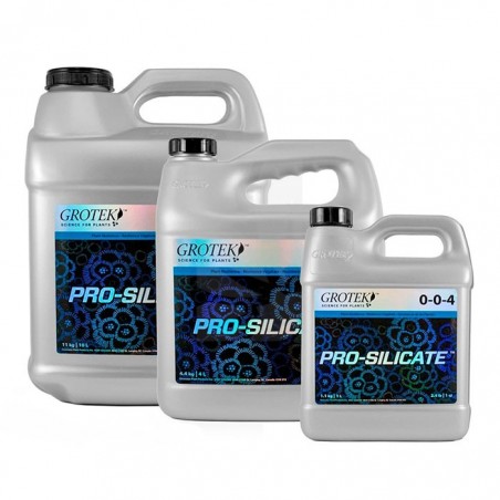 Pro Silicate da 4 Litri GROTEK