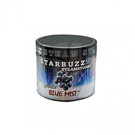 Starbuzz Dampfstein mit Blaubeergeschmack