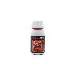 Comprar Spider Plant de 60 ml.