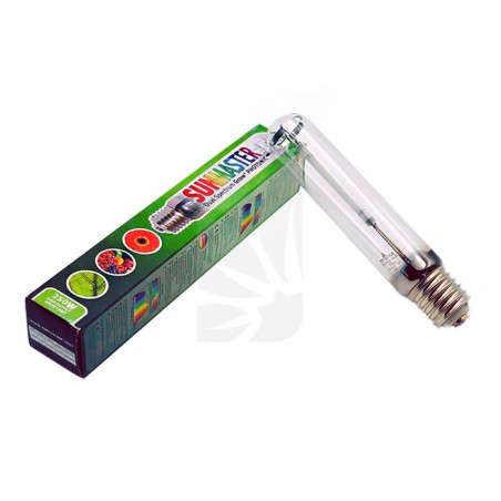 BOMBILLA SUNMASTER DUAL LAMP 250 W