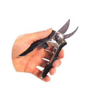 Tijera Samurai Warrior