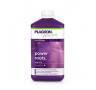 Power Roots de 1 Liter PLAGRON Power Roots de 1 Liter PLAGRON