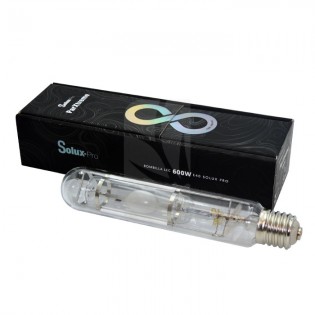 Buy VANGUARD 600 W PARXTREME lighting kit