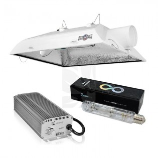 Buy VANGUARD 600 W PARXTREME lighting kit