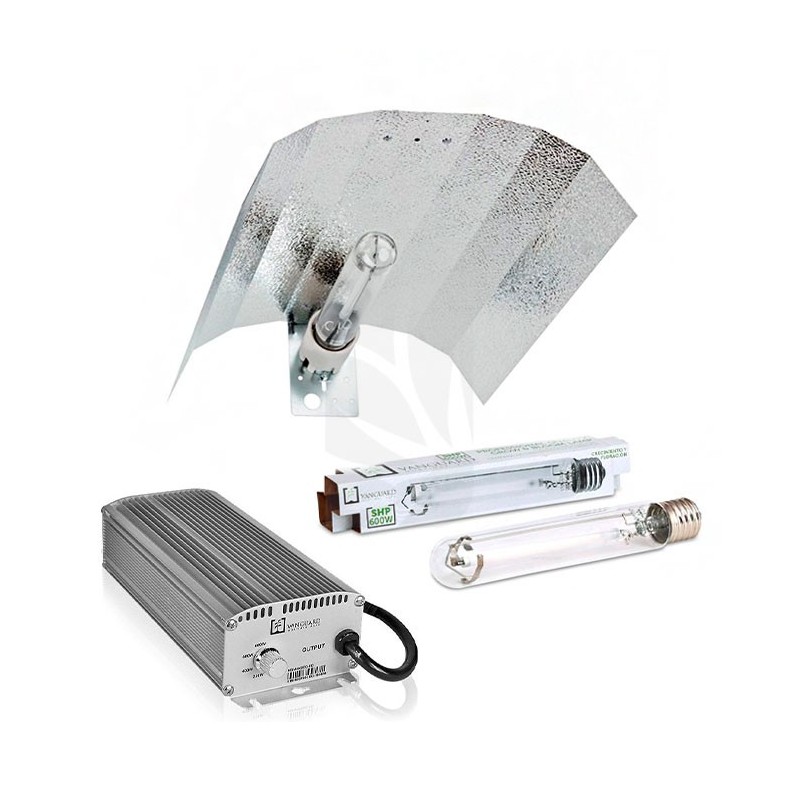 VANGUARD 600W Electronic Kit Stuco