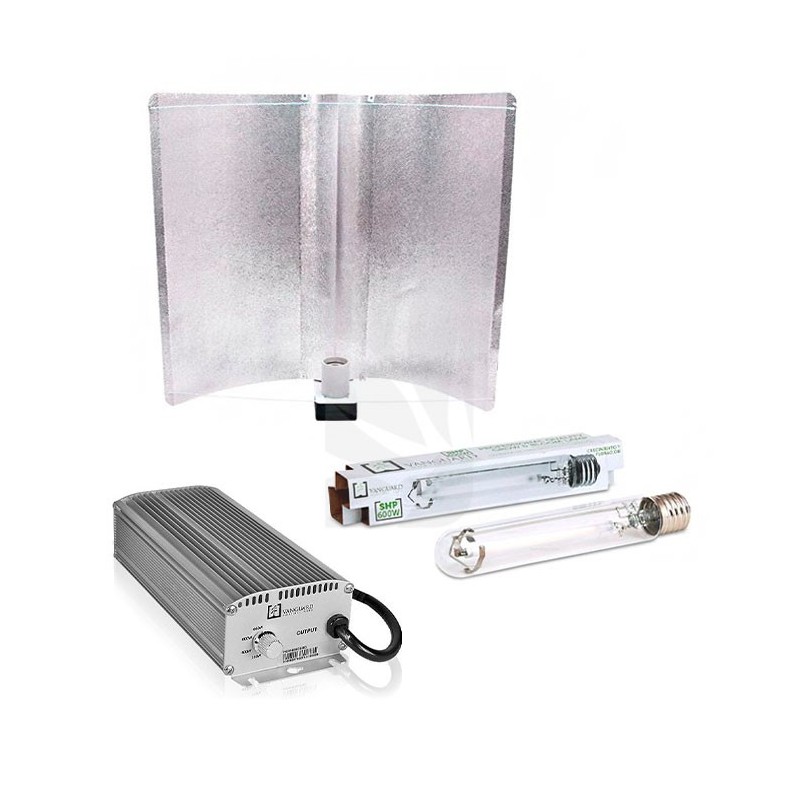 VANGUARD 600W Electronic Kit Micropoint XL