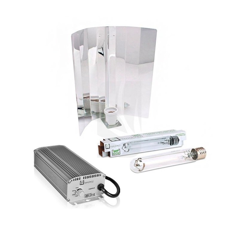 Kit Elettronico VANGUARD 600 W Vanguard Micropunto XL