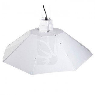Large White Parabolic Reflector