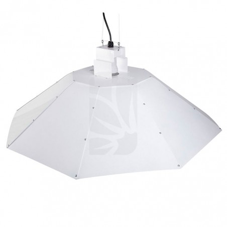Large White Parabolic Reflector