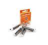 Starbuzz Cartuchos Tangerine Dream EHOS Starbuzz Cartuchos Tangerine Dream EHOS