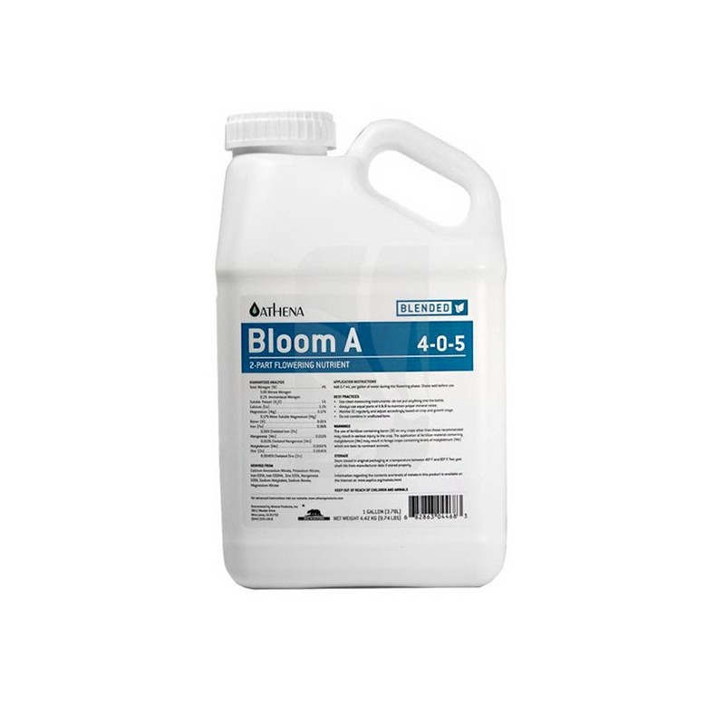 Bloom A 3.78 Liters Athena Bloom A 3.78 Liters Athena
