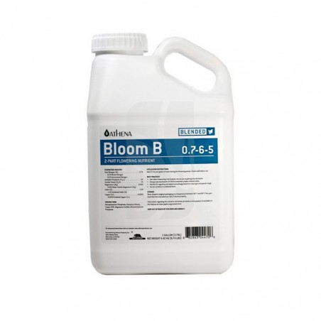 Bloom B 3.78 L. Athena