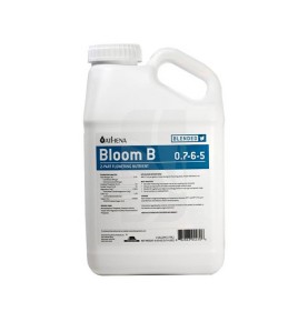 Bloom B 3.78 L. Athena