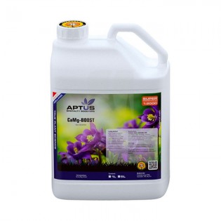 CAMG-BOOST 5 L APTUS