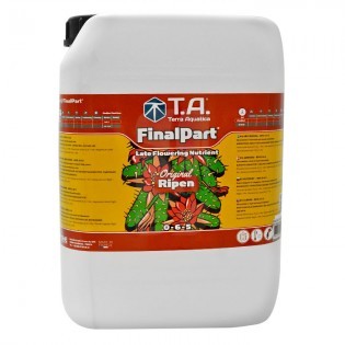 Final Part (RIPEN) of 10 Liters GHE ✅ TERRA AQUATICA