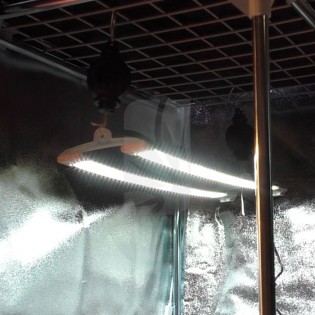 Cosmorrow LED 40W 24 V (90 cm.) Wachstum ✨