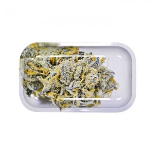 Girl Scout Cookies Rolling Tray, Large (L 27 cm/W 16 cm)