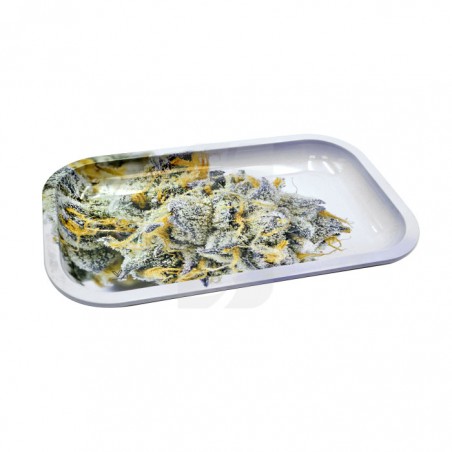 Girl Scout Cookies Rolling Tray, Large (L 27 cm/W 16 cm)