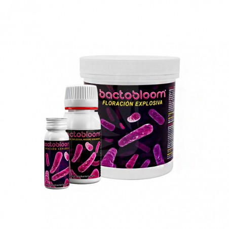 Bactobloom 10 gr.