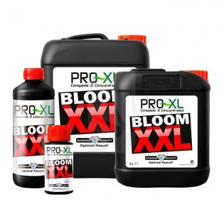 Bloom XXL de 1 Litro Pro-XL