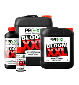 BLOOM XXL 1 L PRO-XL