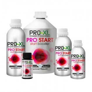 Pro Start de 100 ml. Pro-XL