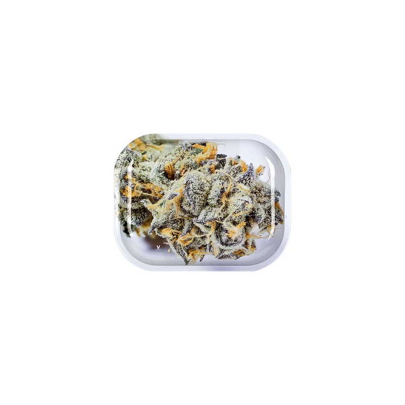 Girl Scout Cookies Rolling Tray Klein 18 x 14 cm